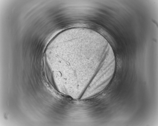 X0000101470852200808041103