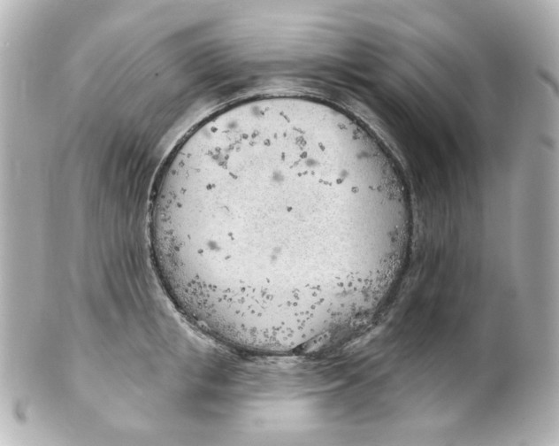 X0000101470853200808041103