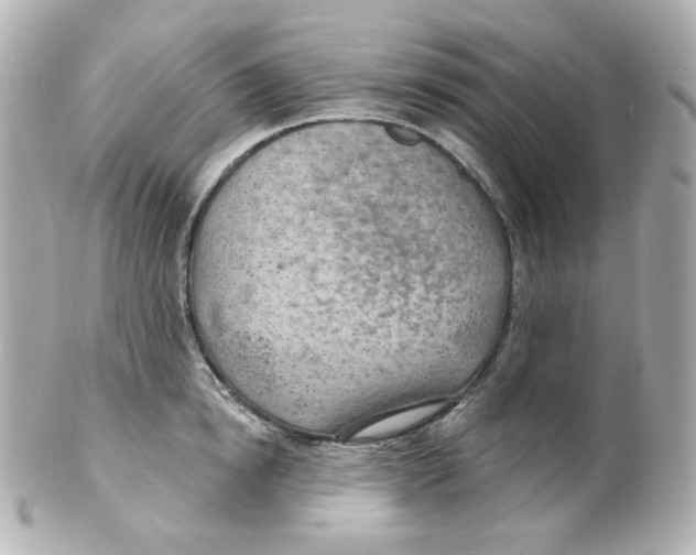 X0000101470854200808041103