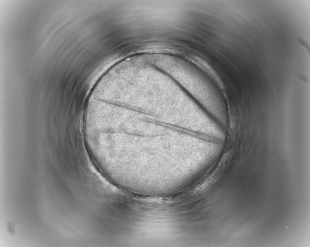 X0000101470855200808041103