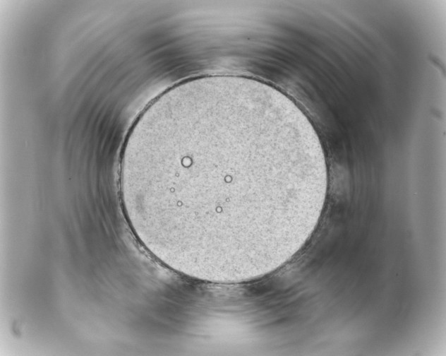 X0000101470856200808041103