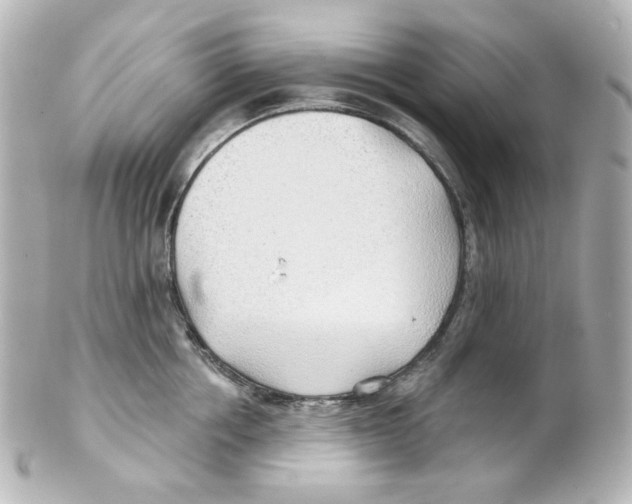 X0000101470858200808041103