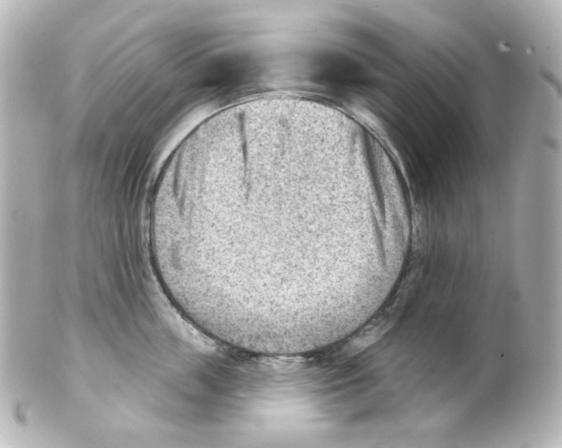 X0000101470859200808041103