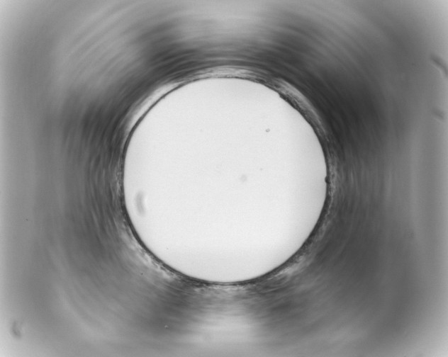 X0000101470860200808041103