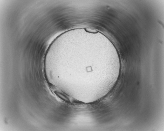 X0000101470862200808041103