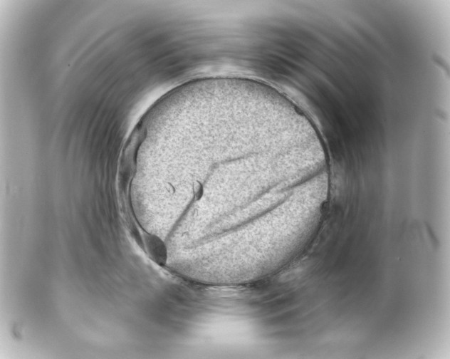 X0000101470863200808041103