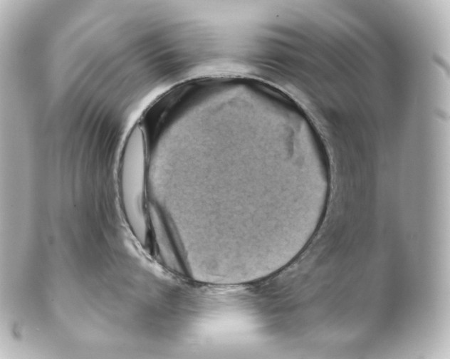 X0000101470864200808041103