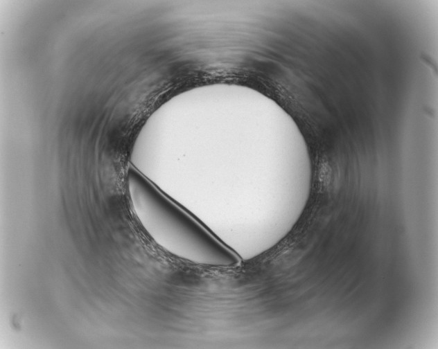 X0000101470868200808041103