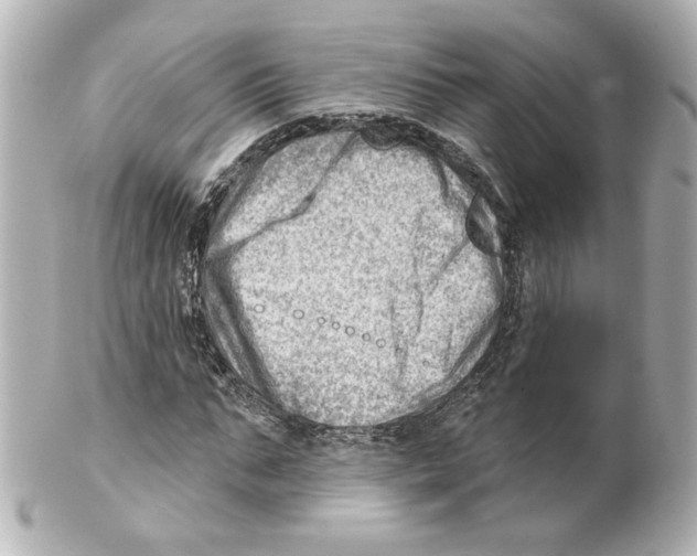 X0000101470871200808041103