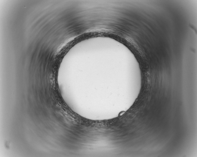 X0000101470872200808041103