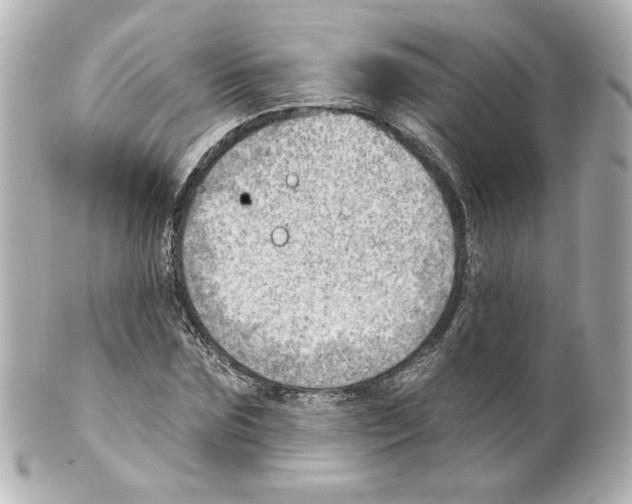 X0000101470875200808041103