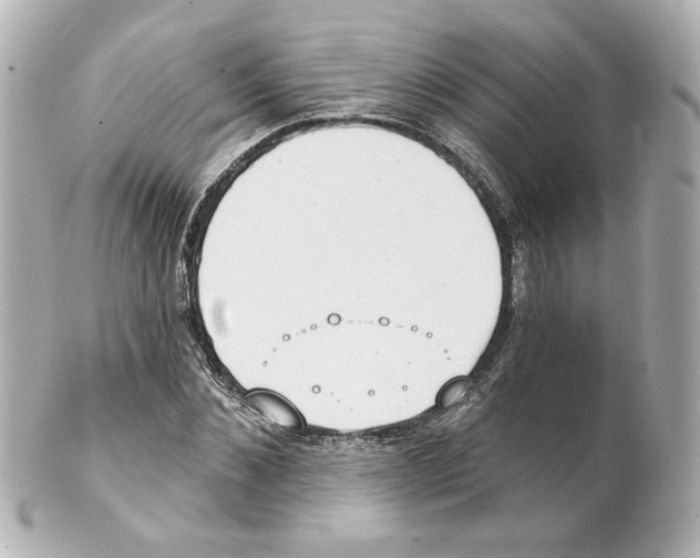 X0000101470876200808041103