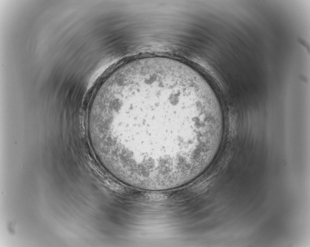 X0000101470878200808041103