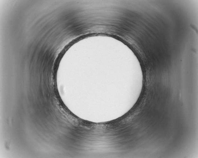 X0000101470880200808041103