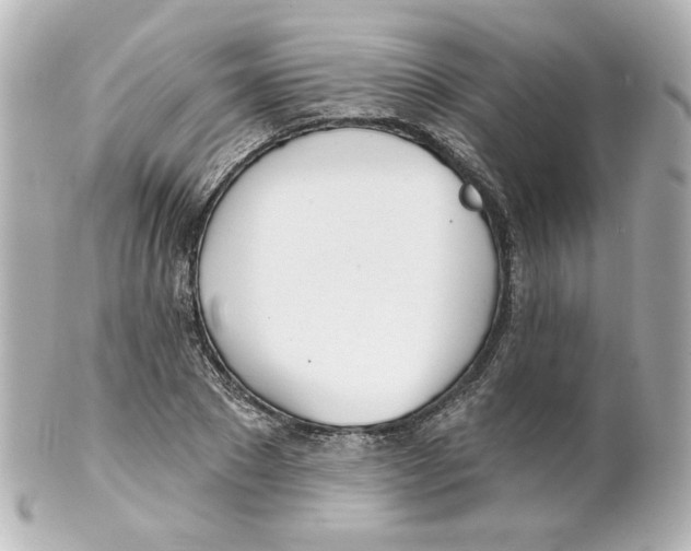 X0000101470881200808041103