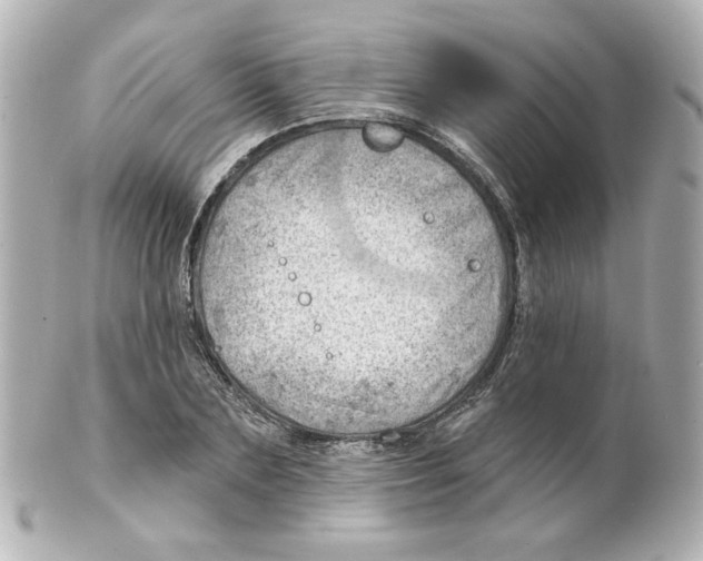 X0000101470883200808041103