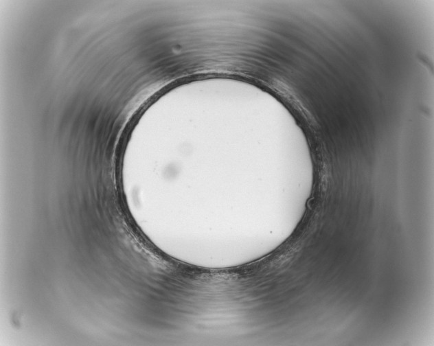 X0000101470884200808041102