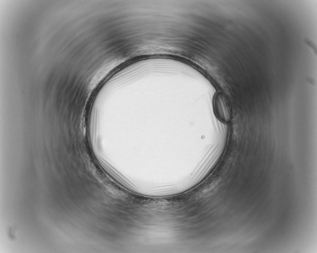 X0000101470885200808041102