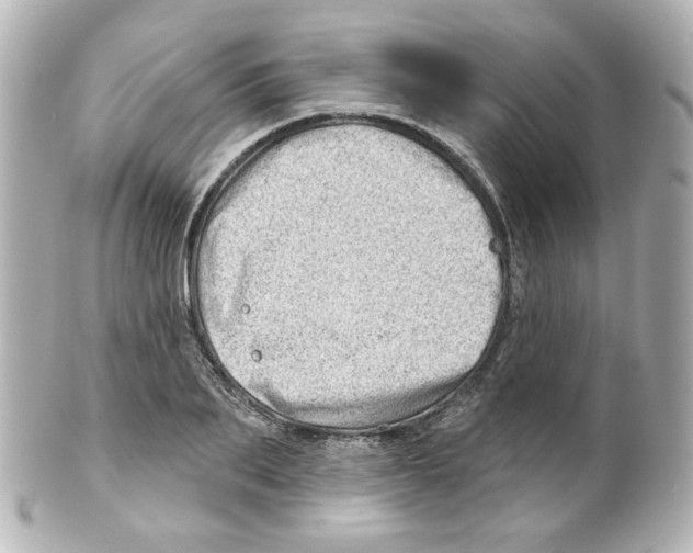 X0000101470887200808041102