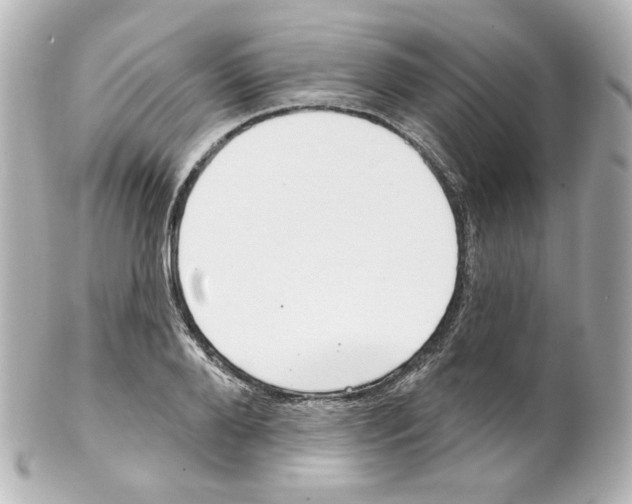 X0000101470888200808041102