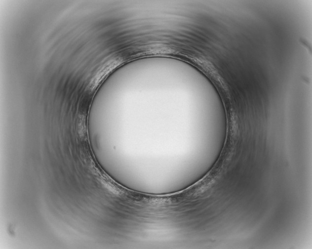 X0000101470889200808041102