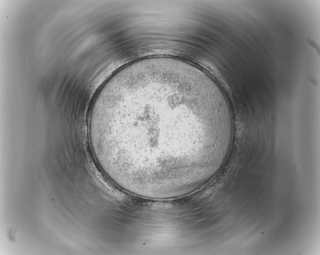 X0000101470890200808041102