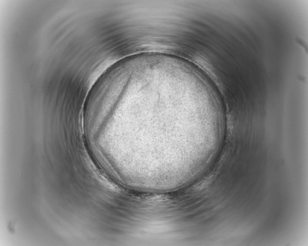 X0000101470891200808041102