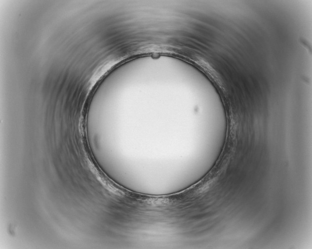 X0000101470893200808041102