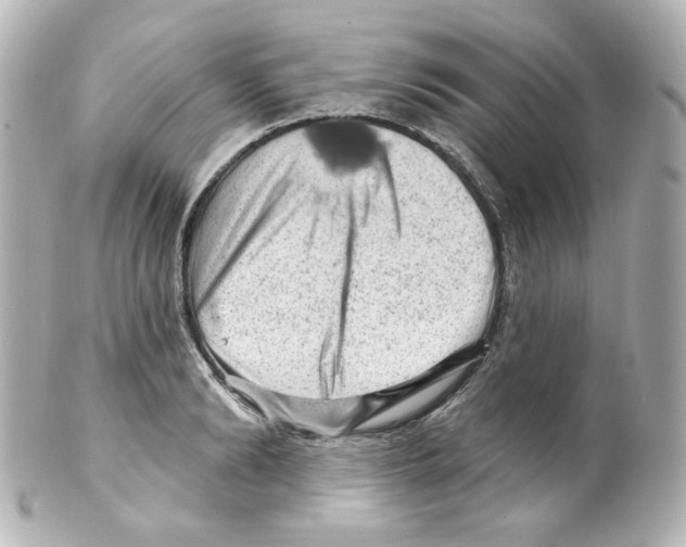 X0000101470894200808041102