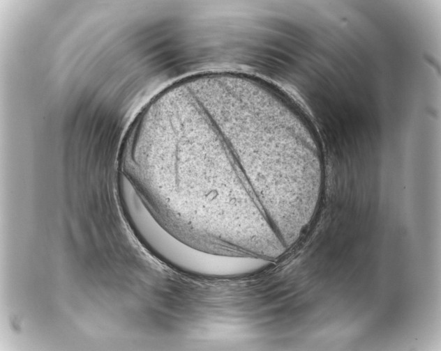 X0000101470895200808041102