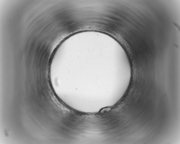 X0000101470896200808041102