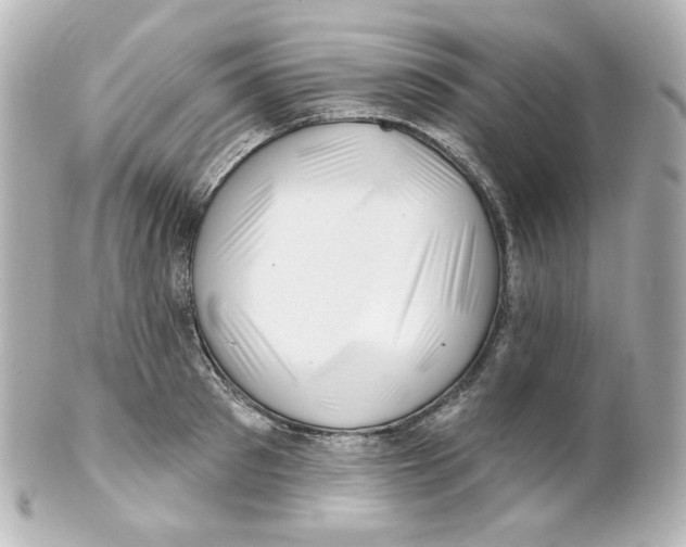 X0000101470897200808041102