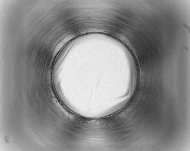 X0000101470898200808041102