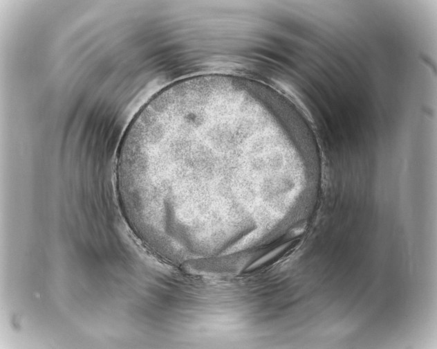 X0000101470899200808041102