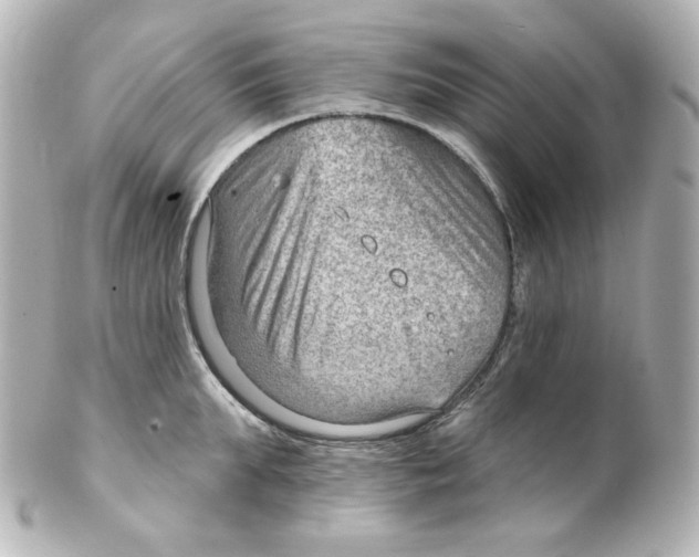 X0000101470903200808041102