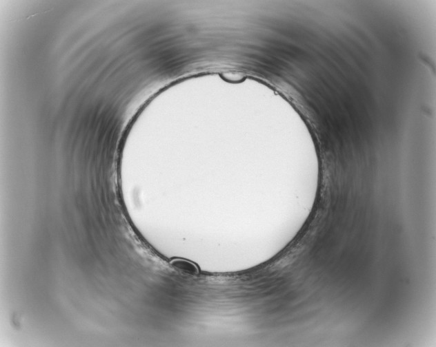 X0000101470904200808041102