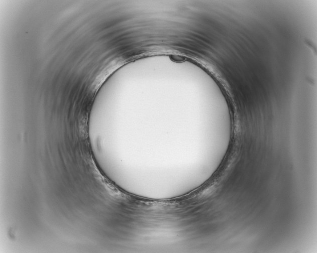 X0000101470905200808041102