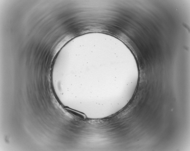 X0000101470906200808041102