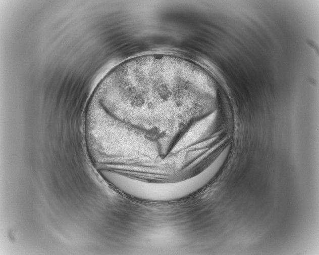 X0000101470907200808041102