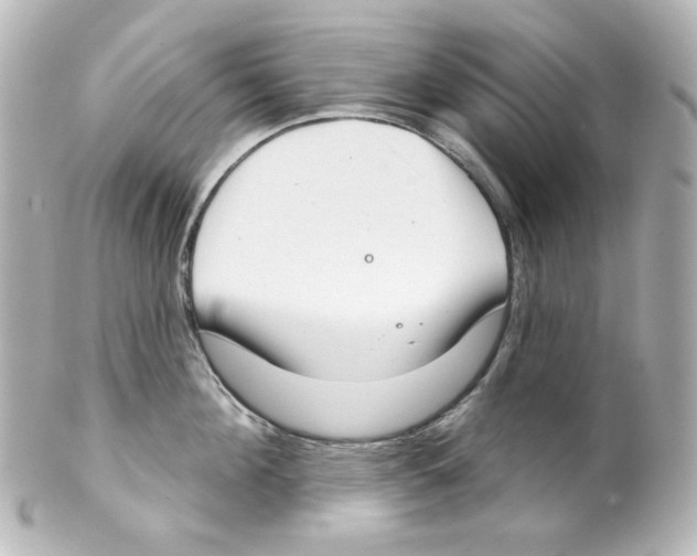 X0000101470908200808041102