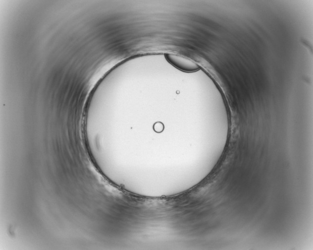 X0000101470909200808041102