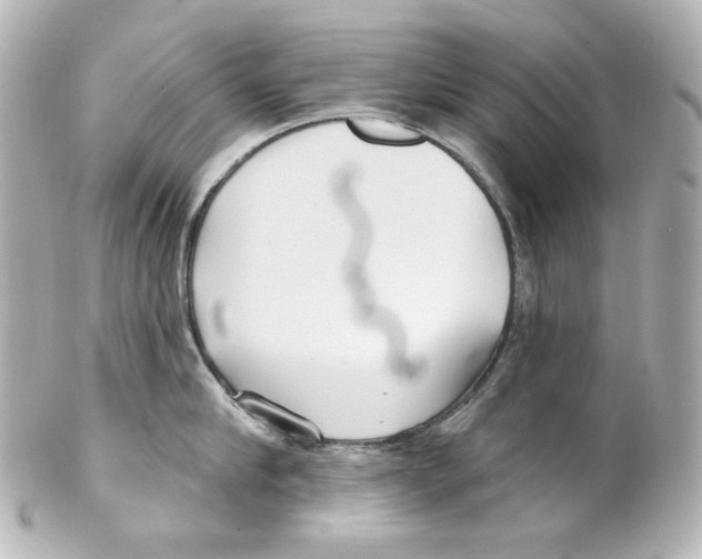 X0000101470910200808041102