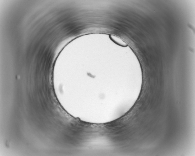 X0000101470912200808041102