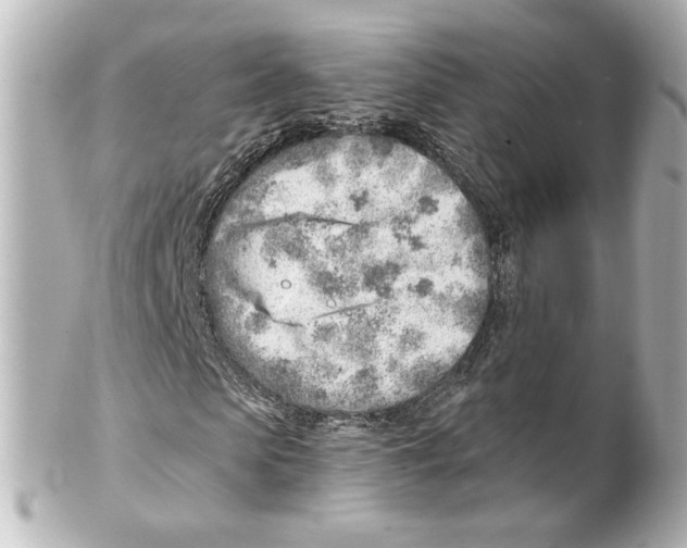 X0000101470913200808041101