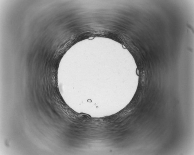 X0000101470916200808041101