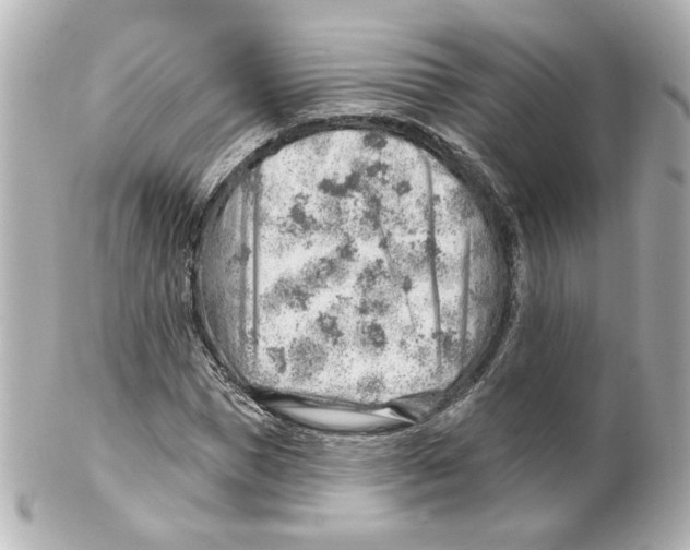 X0000101470921200808041101