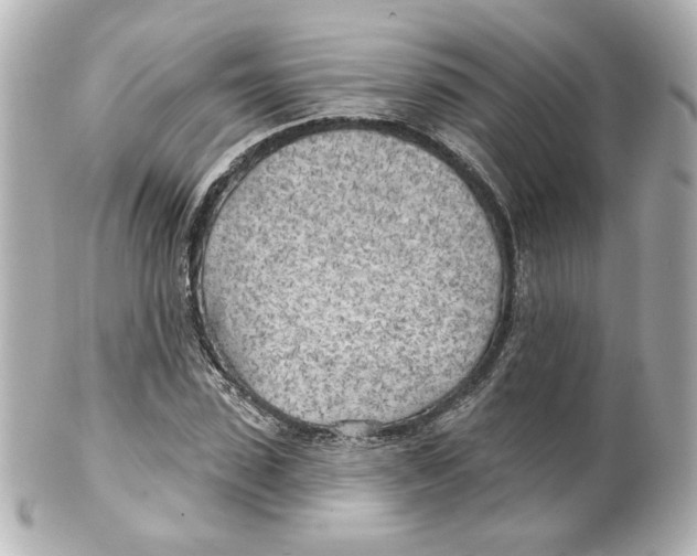 X0000101470923200808041101