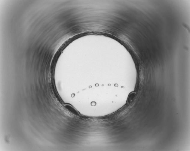 X0000101470924200808041101