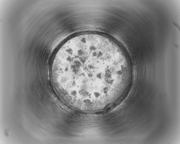 X0000101470925200808041101