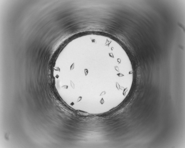 X0000101470926200808041101